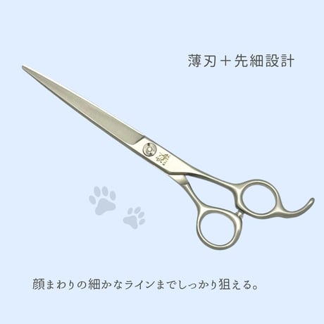 【ペット】one model シャープフラット