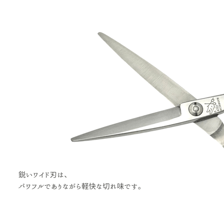 step model　ライト