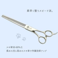【ペット】one model　Vセニング　50-60％