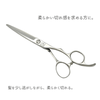 step model　ライト