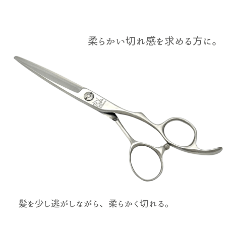 step model　ライト