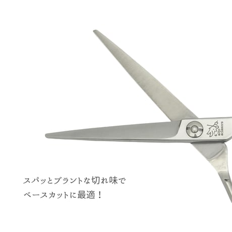 step model　カットシザー