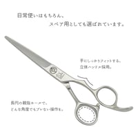 step model　カットシザー