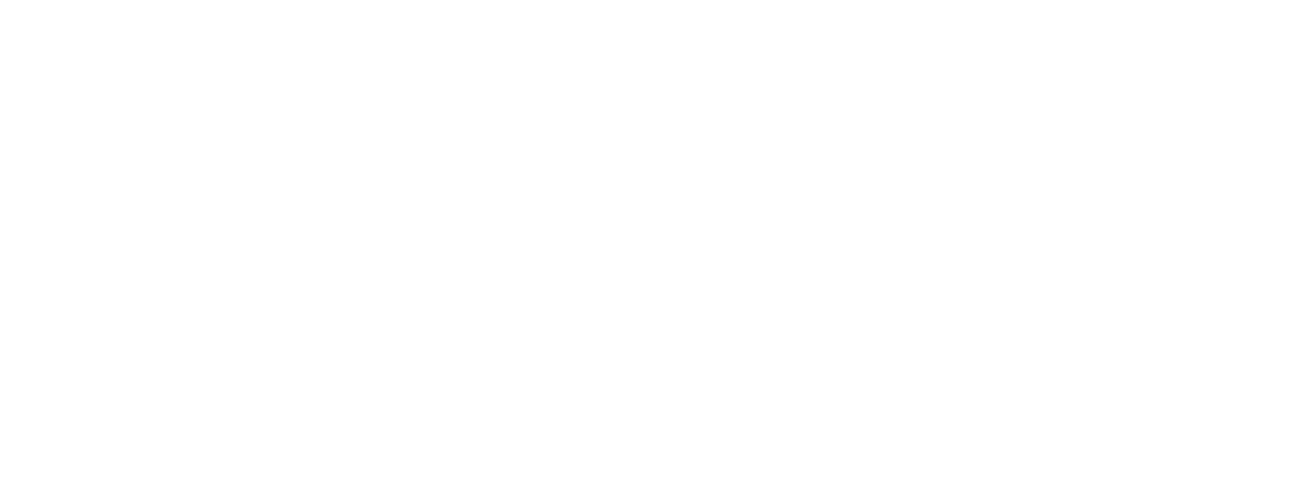Born Slippy official web store
