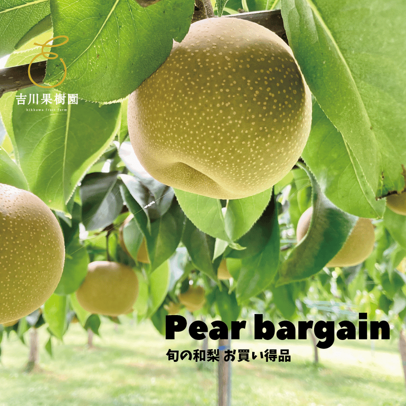 カシニョール「果樹園」リトグラフ 15号大 63/200 清木場果樹園 STORY