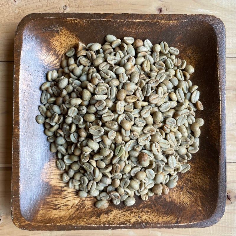 エチオピア ゲイシャジャスミンG1 生豆100g 「 一杯の中に咲く、花の