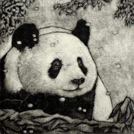 メゾチント | STORES