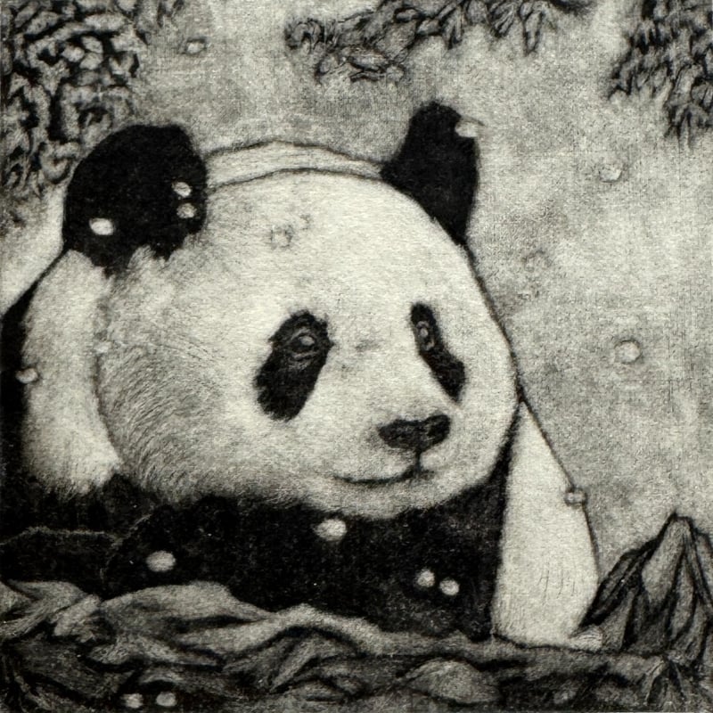 PandART