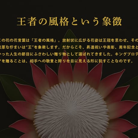 お祝いスタンド花　50,000円コース