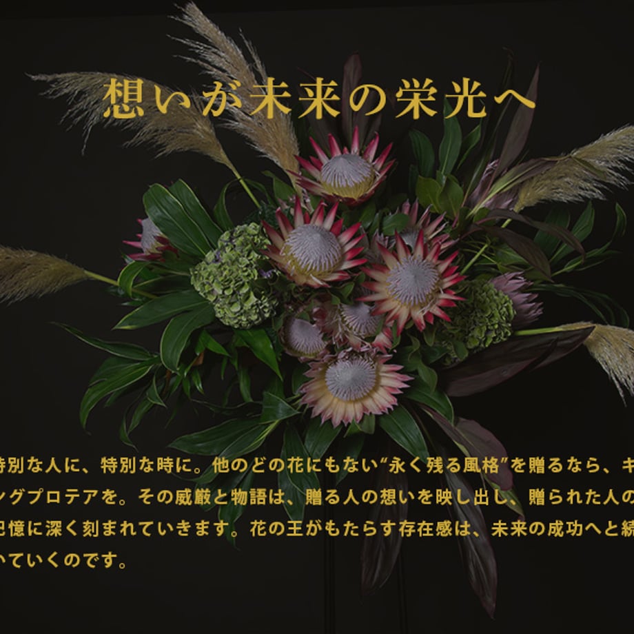 689d839efd5b0741a8f6d69c