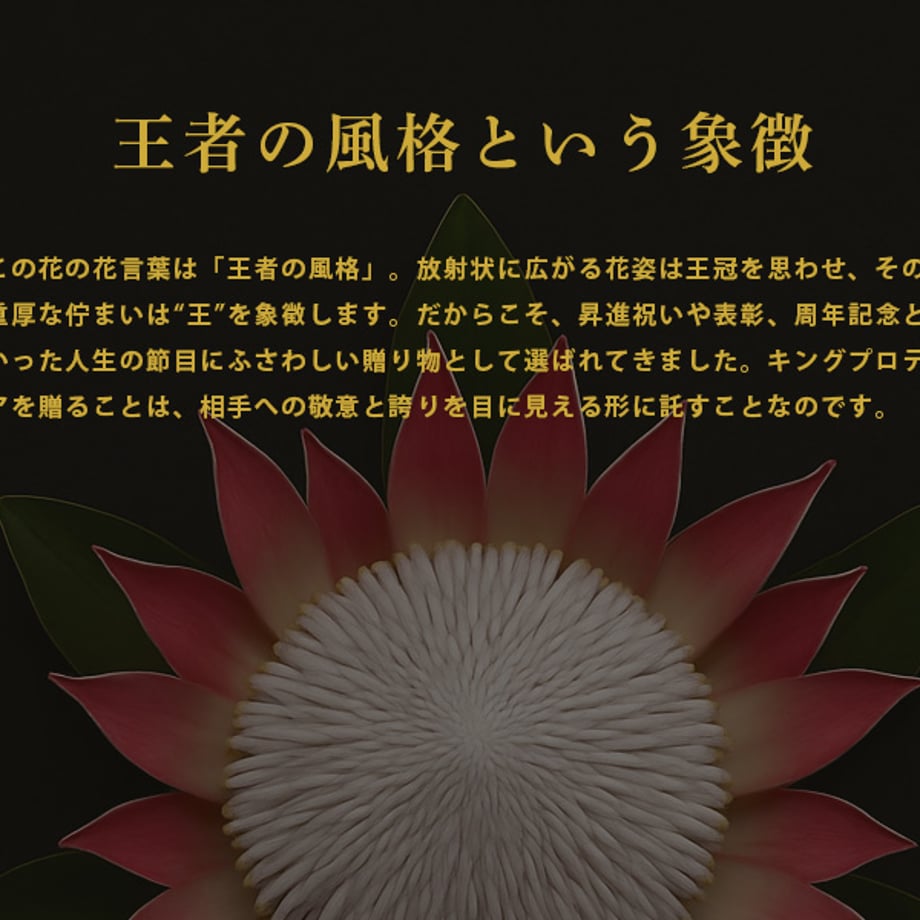 689d839efd5b0741a8f6d69c