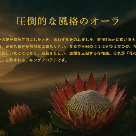 お祝いスタンド花　100,000円コース
