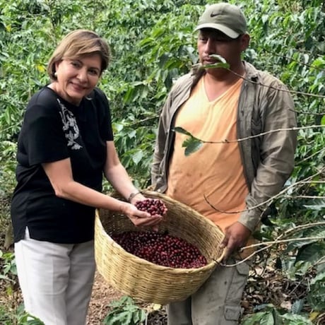 El Salvador Pacamara Santa Teresa｜Story Single Origin