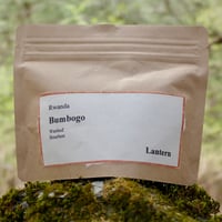Rwanda "Bumbogo" Washed