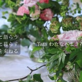 Tataわたなべまき花教室