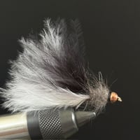 【しおんカラー】毛波ちゃん0.6g（キジトラ）
