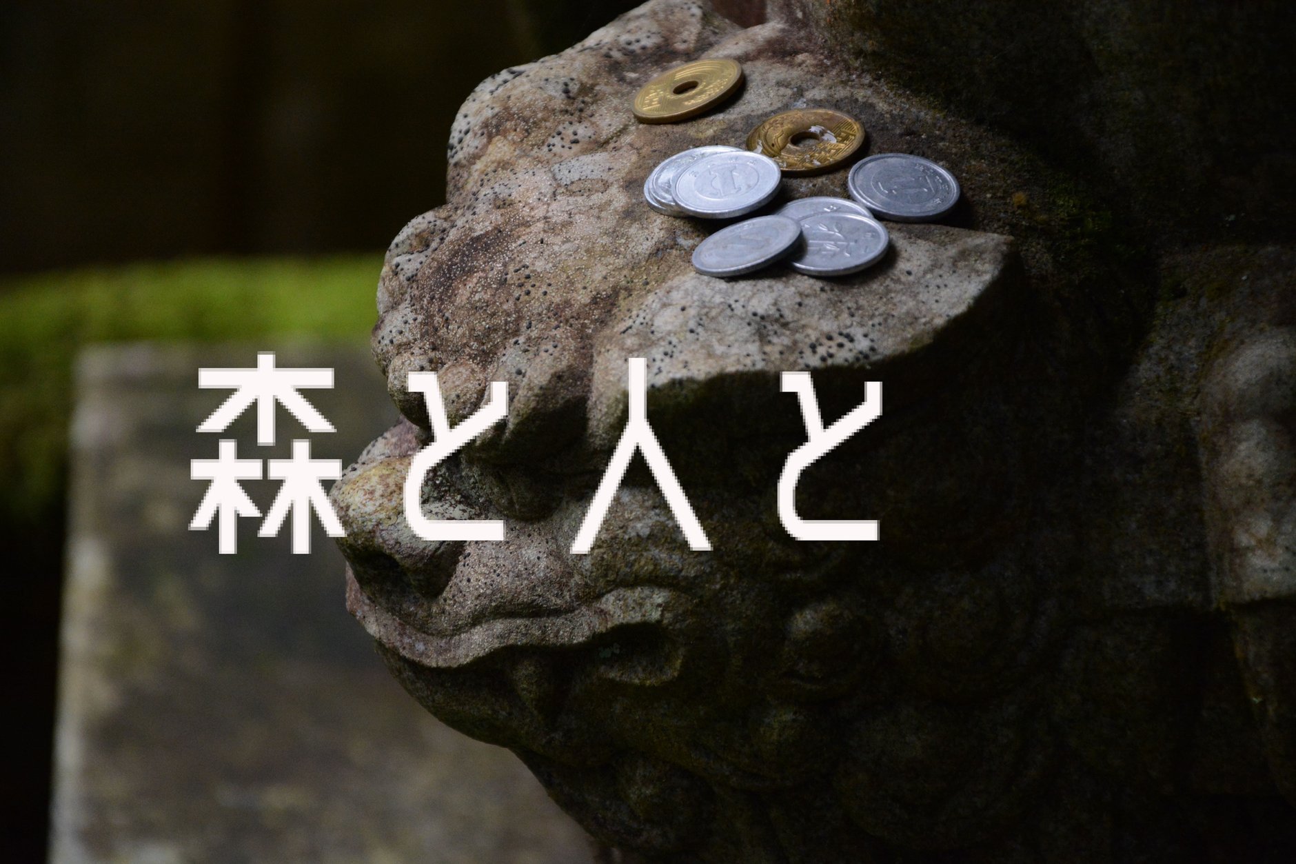 森と人と