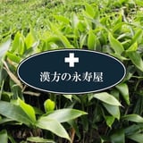 永寿屋本店オンラインショップ