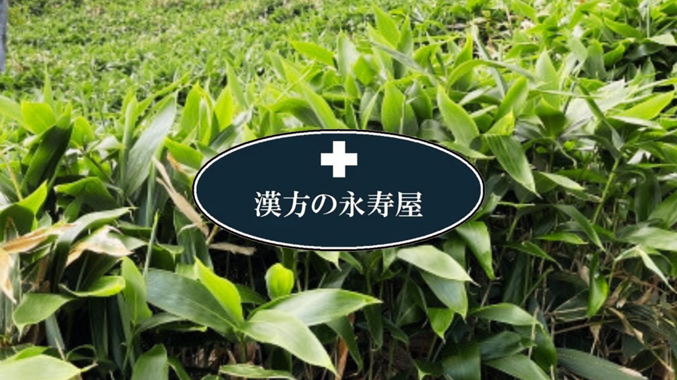 永寿屋本店オンラインショップ