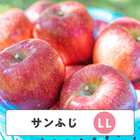 サンふじ 【 LLサイズ 】10kg　18〜22玉
