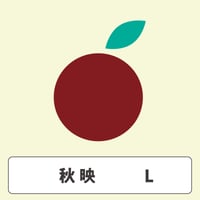 秋映【 Lサイズ 】3kg  7玉前後