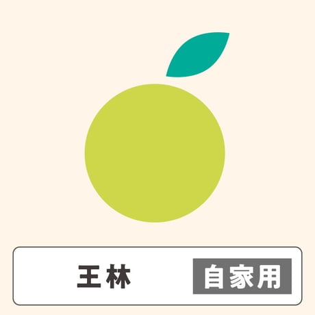 王林【 自家用 】5kg  10〜16玉