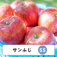 サンふじ 【 SSサイズ 】5kg  20玉前後