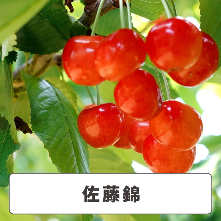 68d602d4e295353918cb9d87