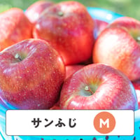 サンふじ 【 Mサイズ 】5kg  15・16玉