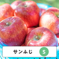 サンふじ 【 Sサイズ 】15kg  54玉前後