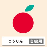 こうりん【 自家用 】5kg  10〜16玉