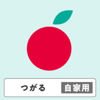 つがる【自家用】5kg  10〜16玉