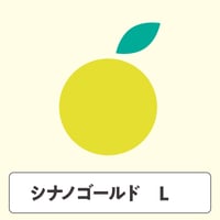 シナノゴールド【 Lサイズ 】3kg  7玉前後
