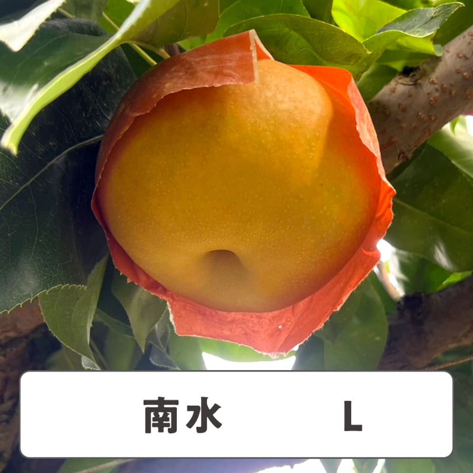 68d5f487b1f1ecf934835012