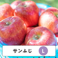 サンふじ 【 Lサイズ 】10kg　24〜28玉