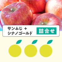サンふじ  + シナノゴールド【詰合せ】3kg  7玉前後