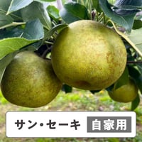 サン・セーキ【 自家用 】5kg  10〜16玉