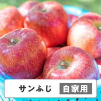 サンふじ 【 自家用 】10kg　20〜32玉