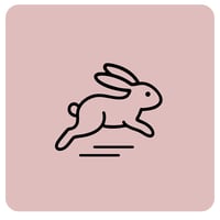 伴走パートナーPASS | PINK