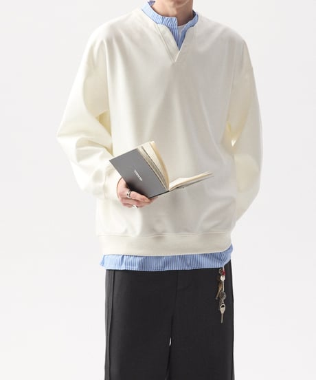 layered v-neck stripe sweatshirt /2color　NL2355