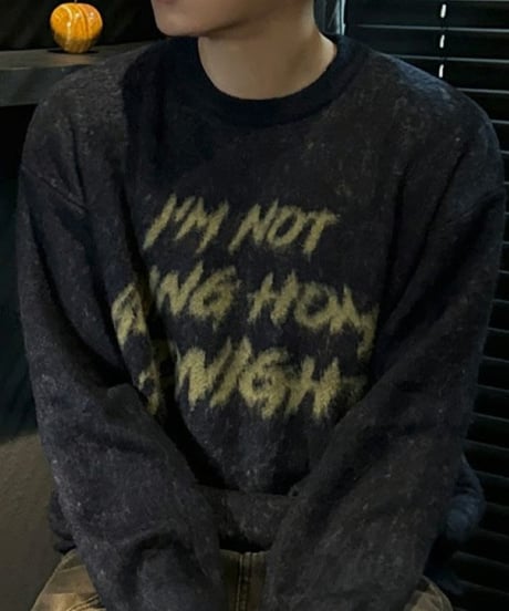 graphic brushed crew neck knit /3color　NL2094