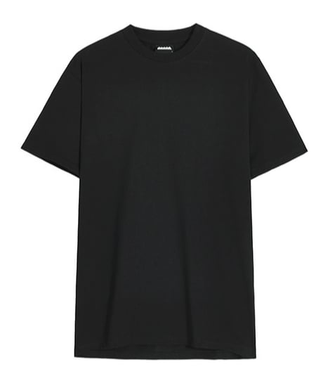 premium basic slim fit tee / 3color　NL2404