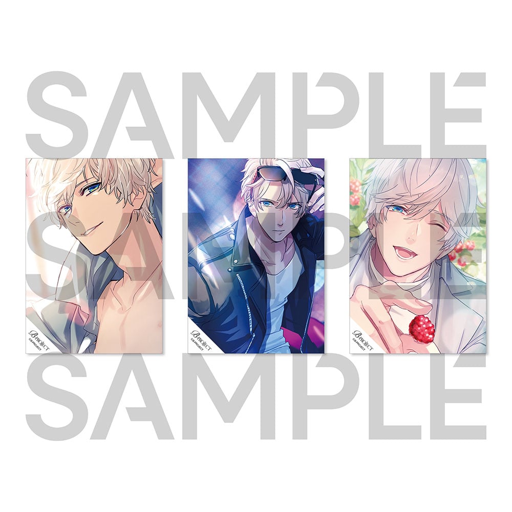 通販限定】メモリアルセット 10Frame ver. 北門倫毘沙 | B