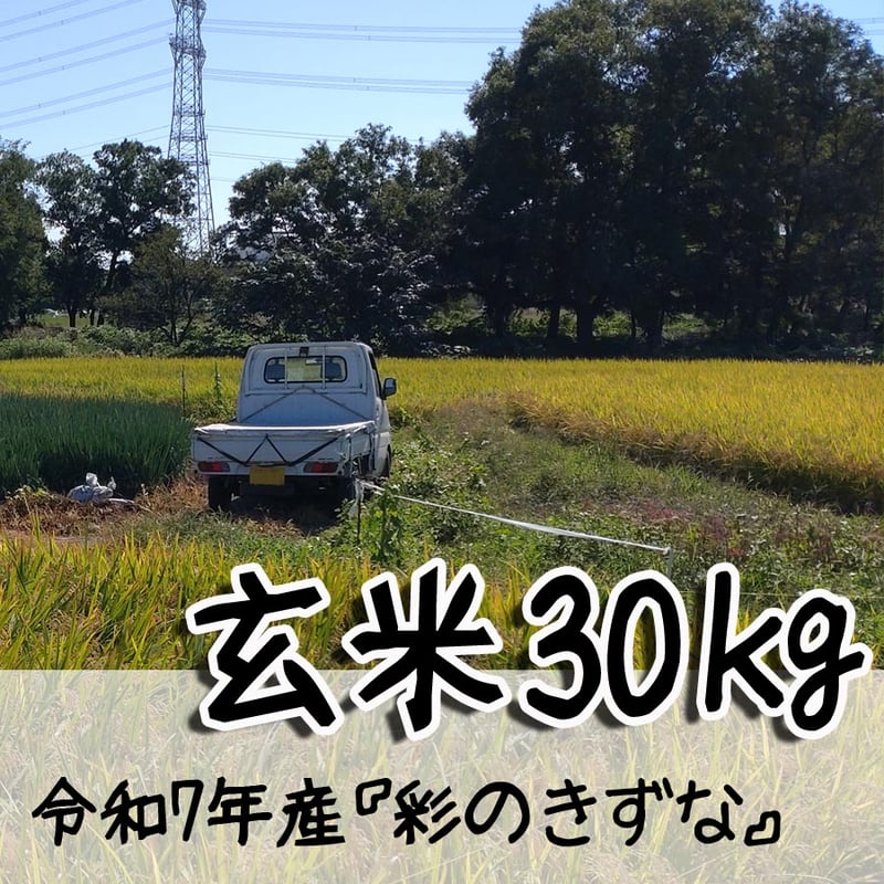 令和7年産 彩のきずな 玄米30kg（精米対応可） | ぶーちゃんばあばのお