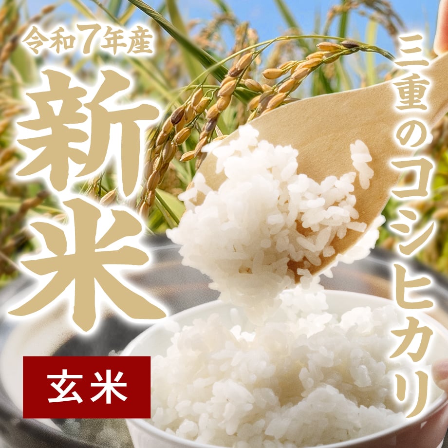 令和7年新米】【玄米】《10kg／20kg》もっちりコシヒカリ?出来立ては 