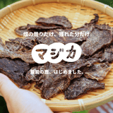 マジカ/majika