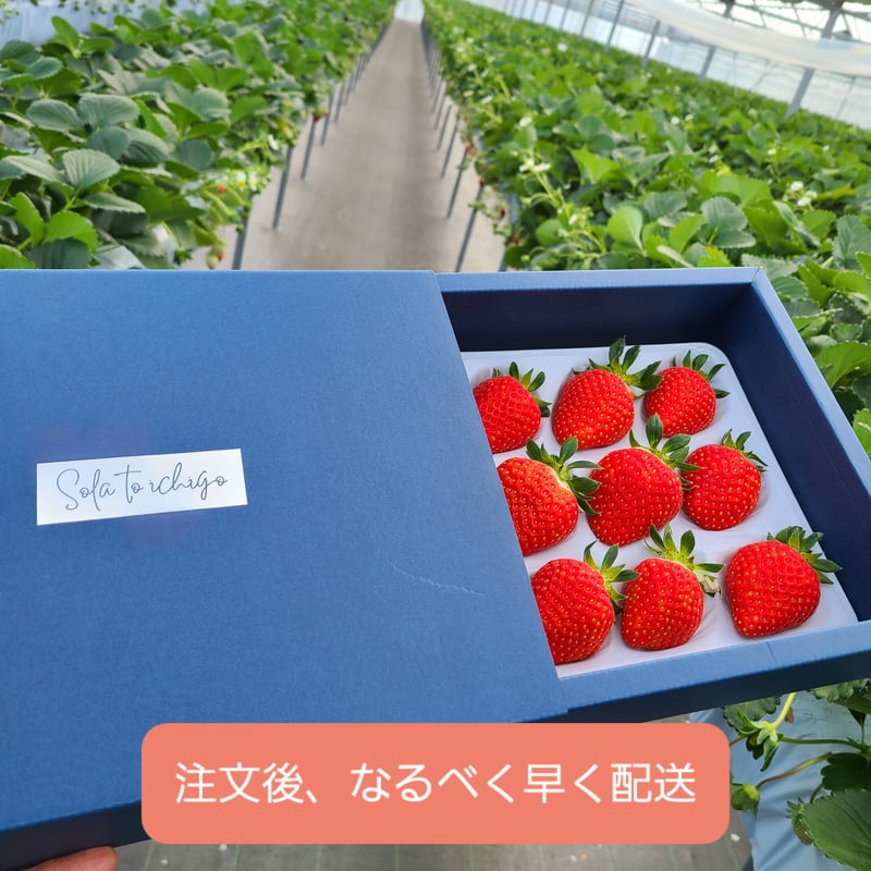 そらといちご onlineshop