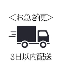 お急ぎ便オプション【優先出荷】