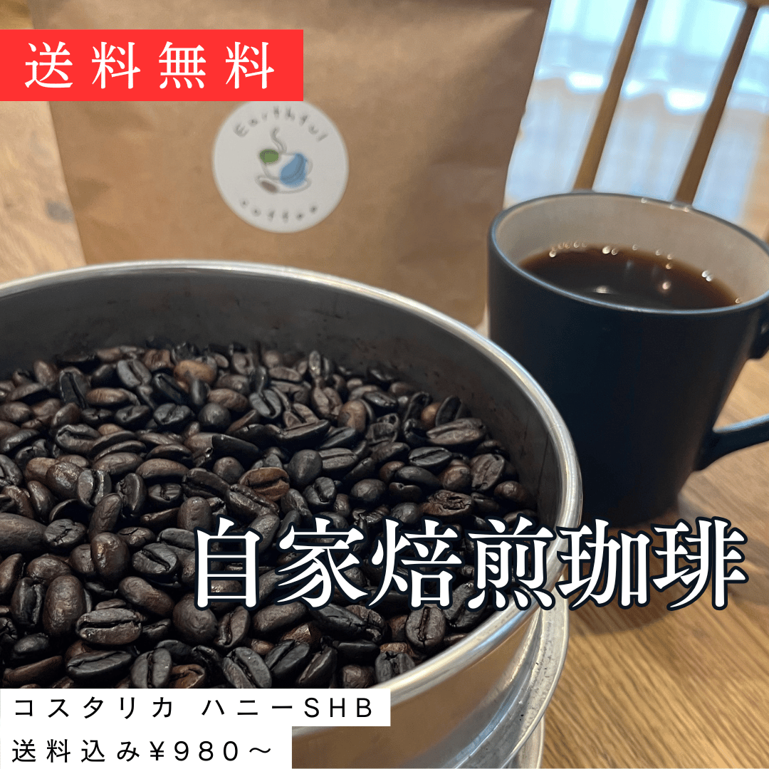 🇨🇷コスタリカ ハニーSHB(honey process)【送料込み】 | Earthful