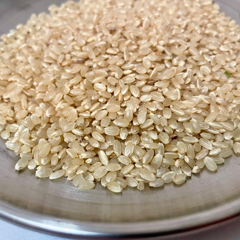 銀河のしずく 令和7年産 玄米 20Kg | 藤村光果樹園